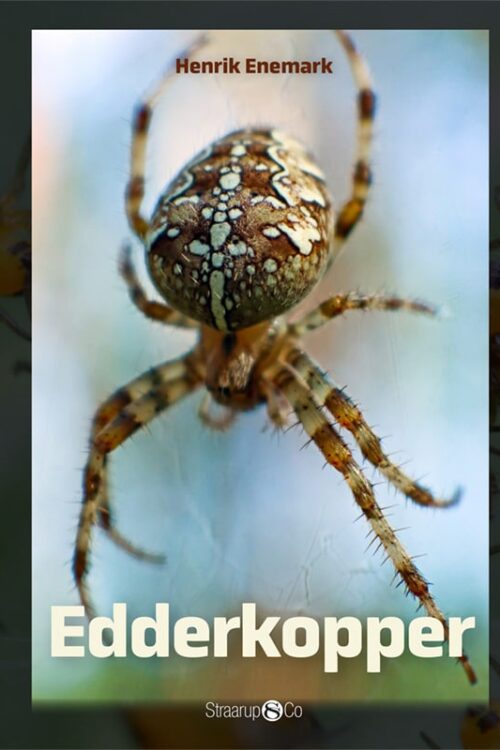 Edderkopper Forside Web