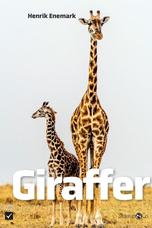 Giraffer Forside Web