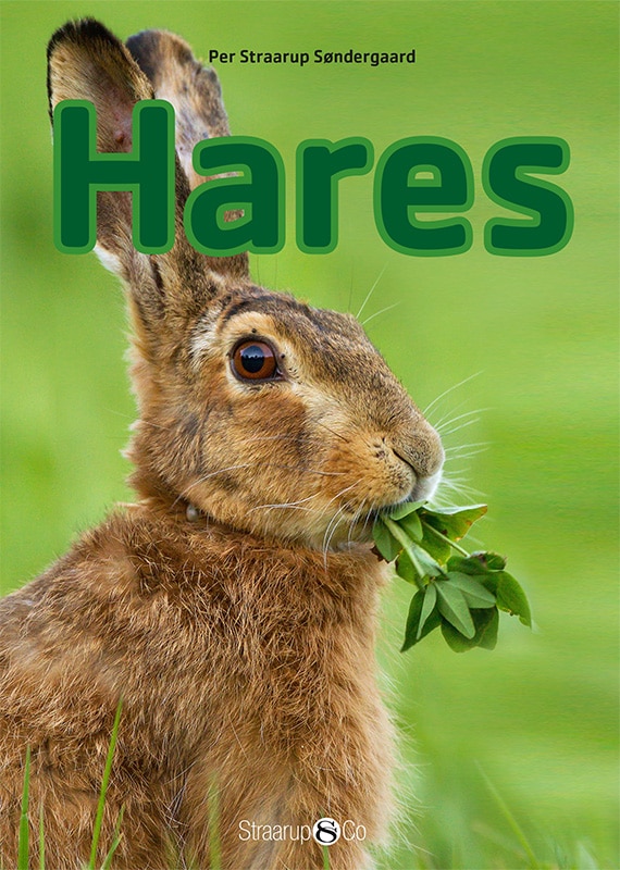 Hares Eng Forside Web 1