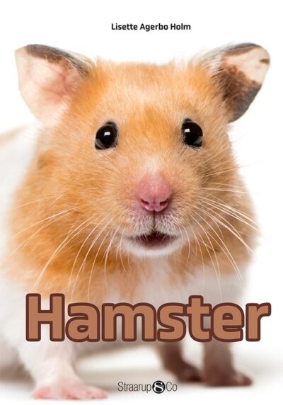 Hamster Forside Web