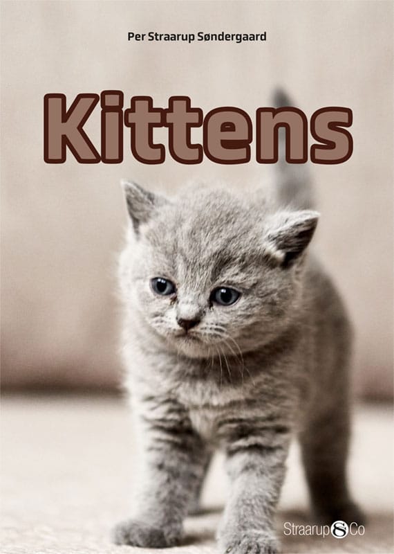 Kittens Eng Forside Web