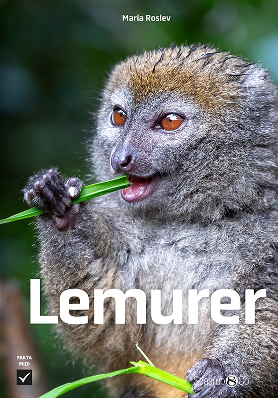 Lemurer Forside Web