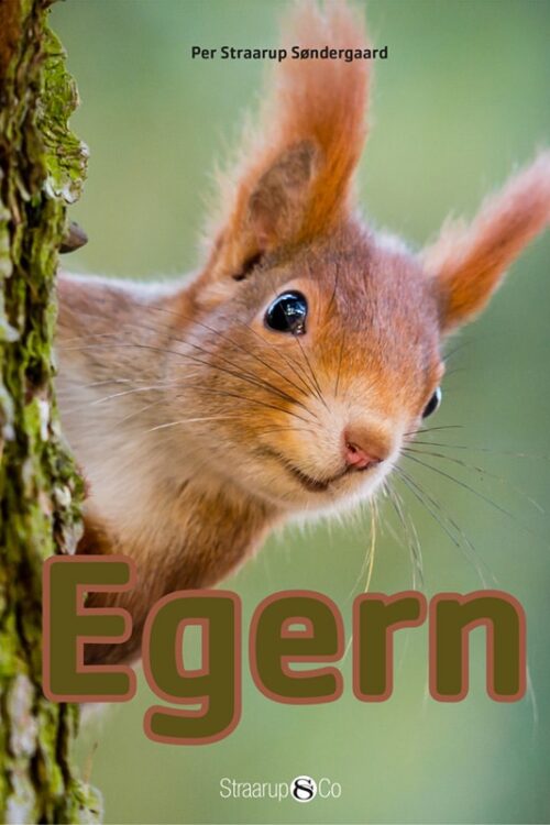 Mini Egern Forside Web 1
