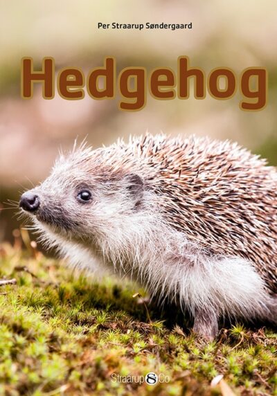 Mini Hedgehog Eng Forside Web 1