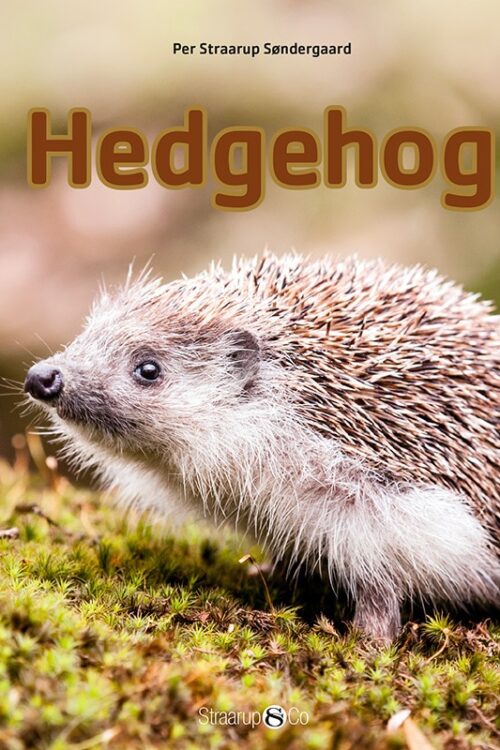 Mini Hedgehog Eng Forside Web 1