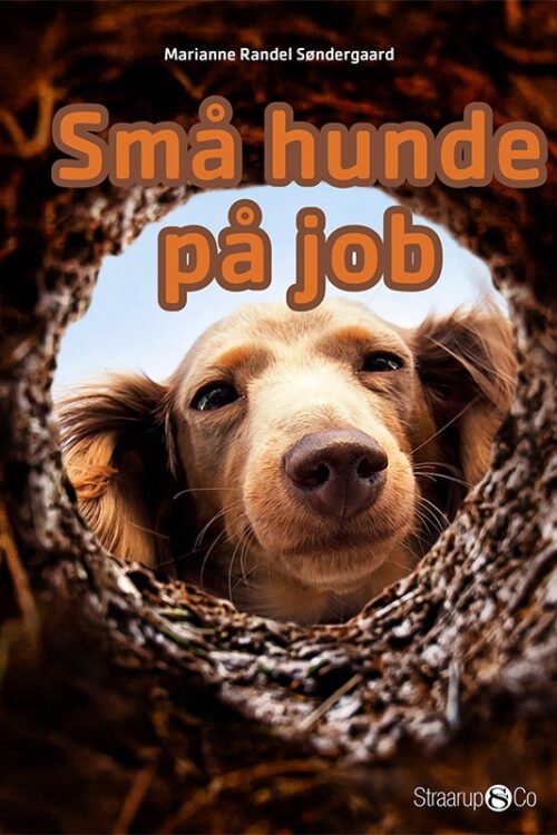 Mini Mini Smaa Hunde Paa Job Forside Web 1