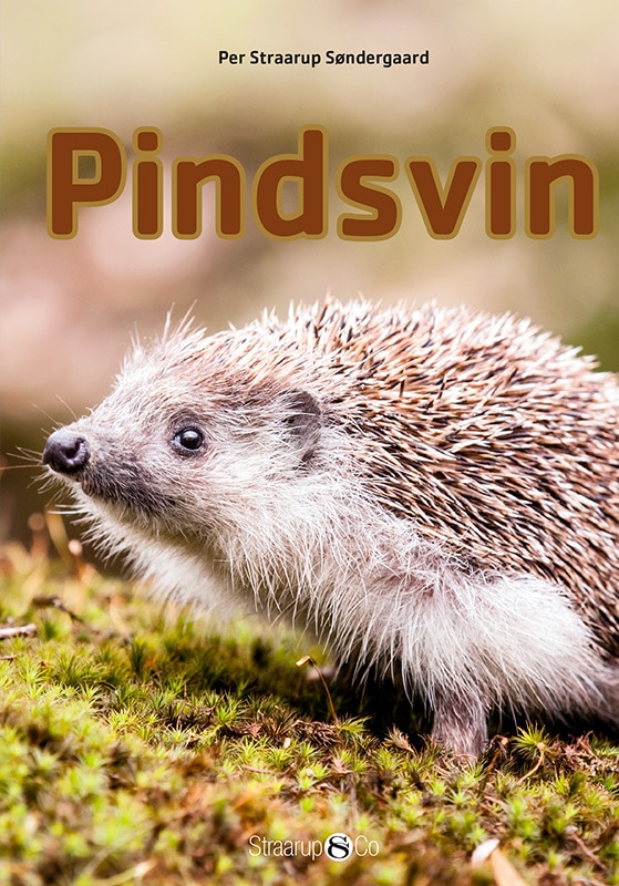 Mini Pindsvin Dk Forside Web 1