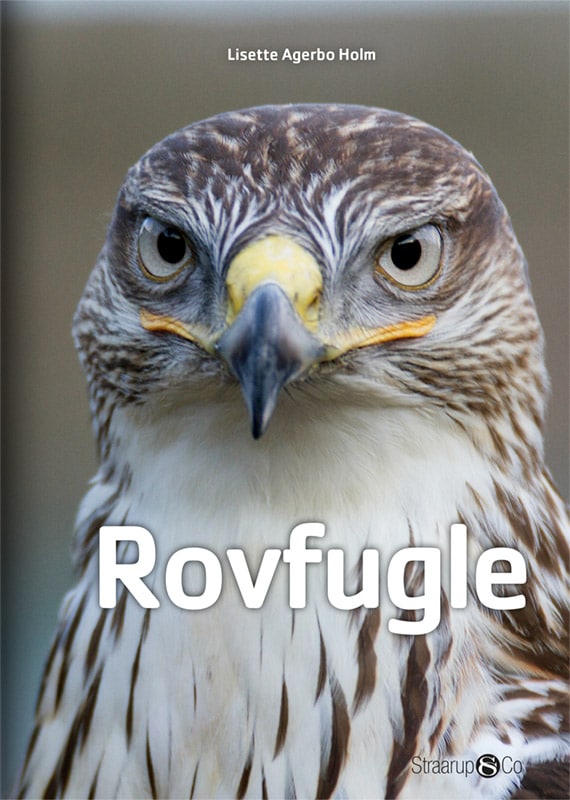 Midi Rovfugle Forside 0318 Web 1