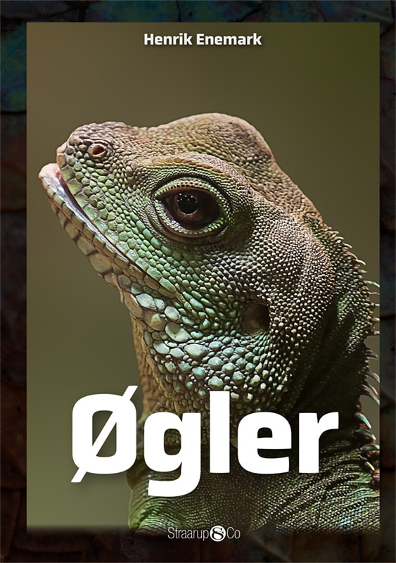 Oegler Forside Web