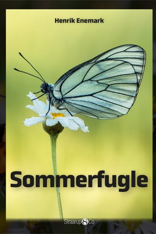 Sommerfugle Forside Web