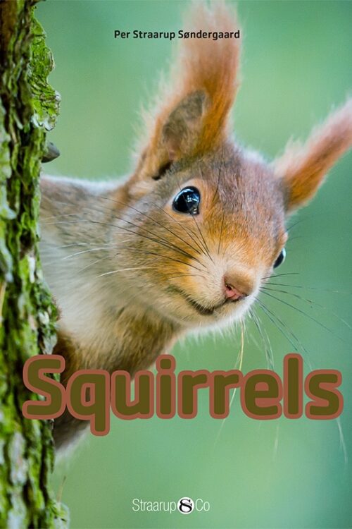 Squirrel Eng Forside Web 1