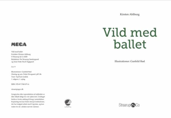 Ballet1 1