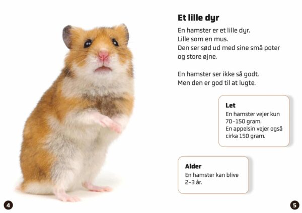 Hamster2