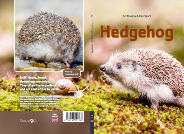 Hedgehog1 1