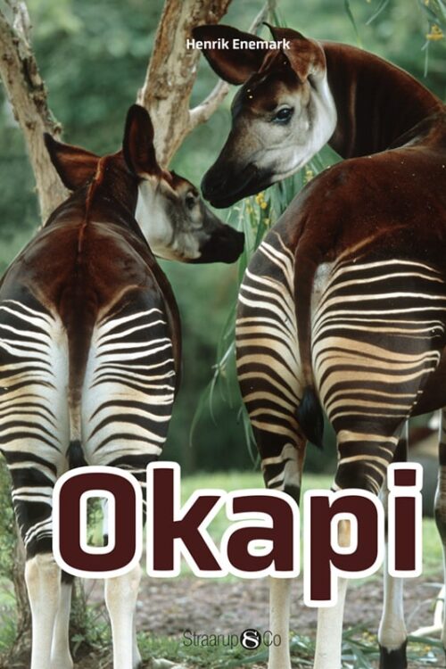 Okapi Omslag Forside Web
