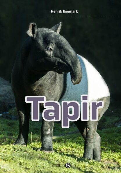 Tapir Forside Web