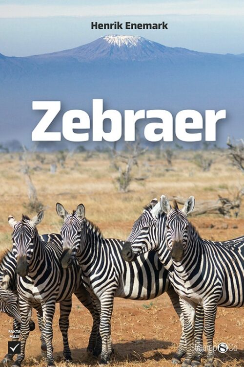 Zebraer Forside Web