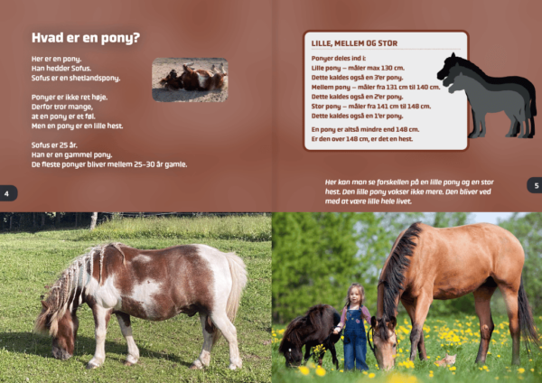 pony3