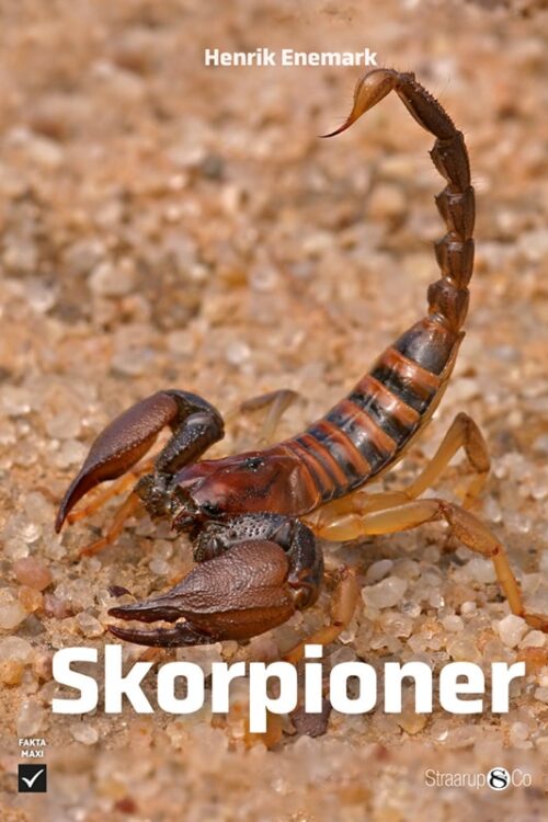 Skorpioner