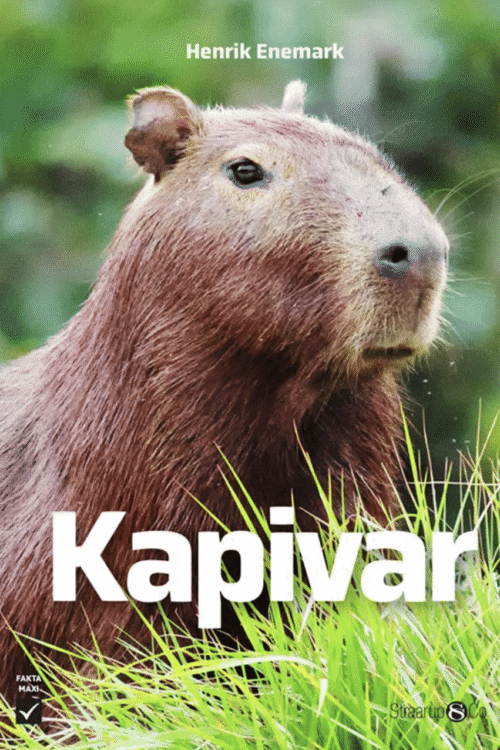 Kapivar