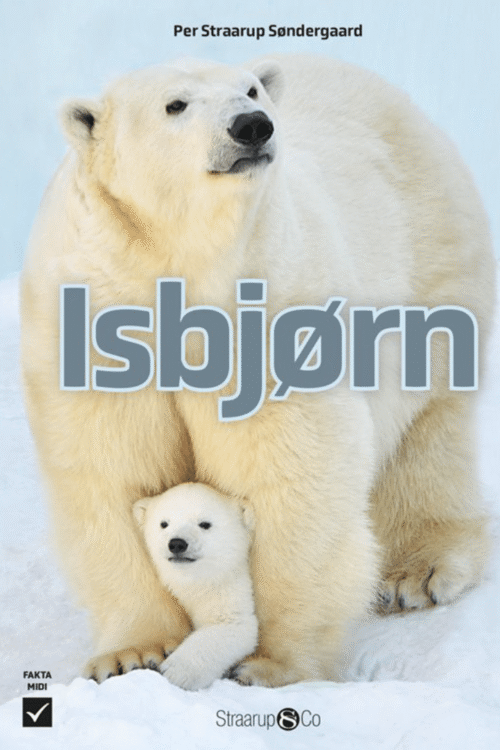 Isbjørn