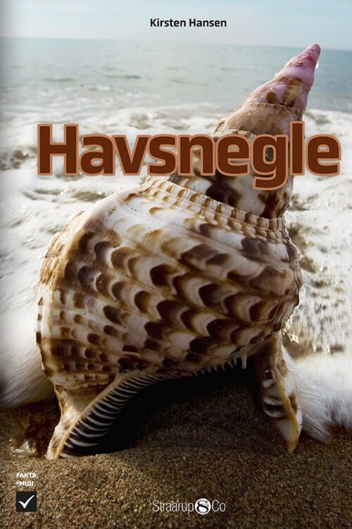 Havsnegle