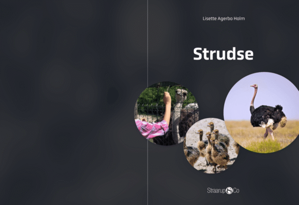 Strudsen Rasmus Strudse af Lisette Agerbo Holm | Køb for 175 kr.