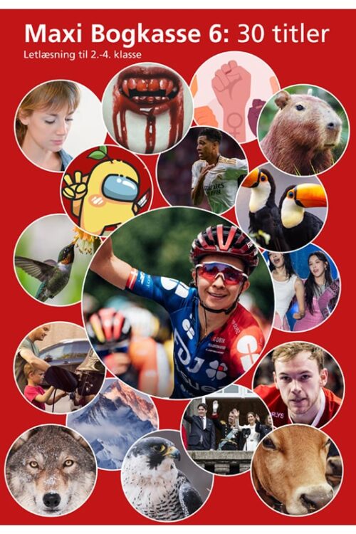 Maxi Bogkasse 6