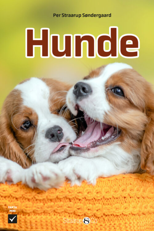 Hunde
