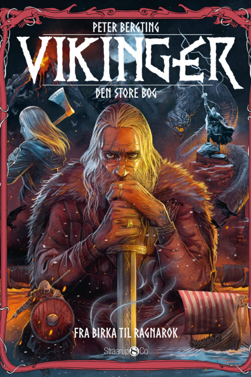 Vikinger - fra Birka til Ragnarok