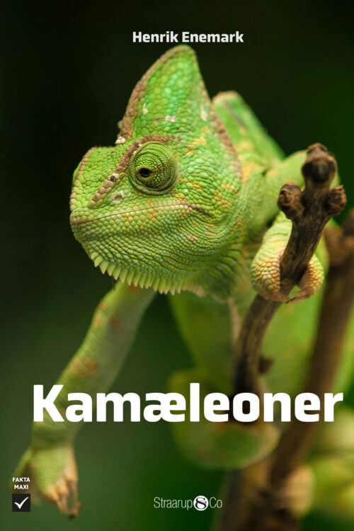 Kamæleoner
