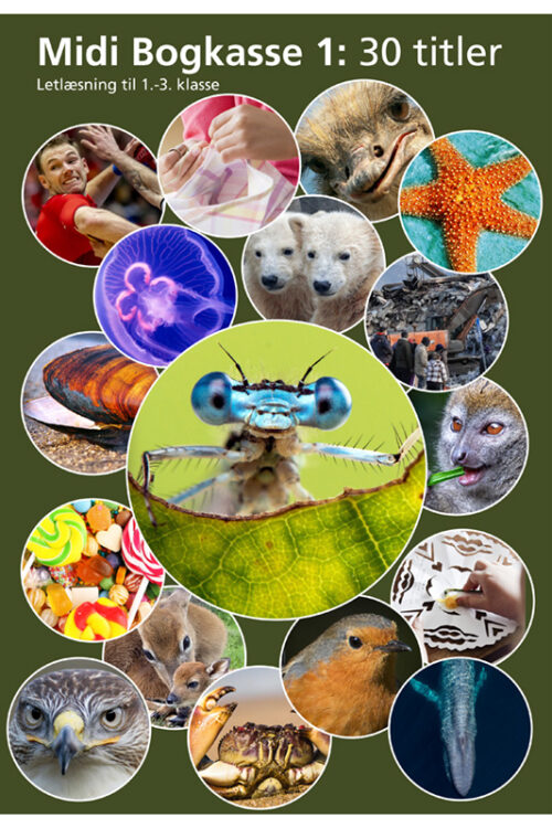 Midi Bogkasse 1