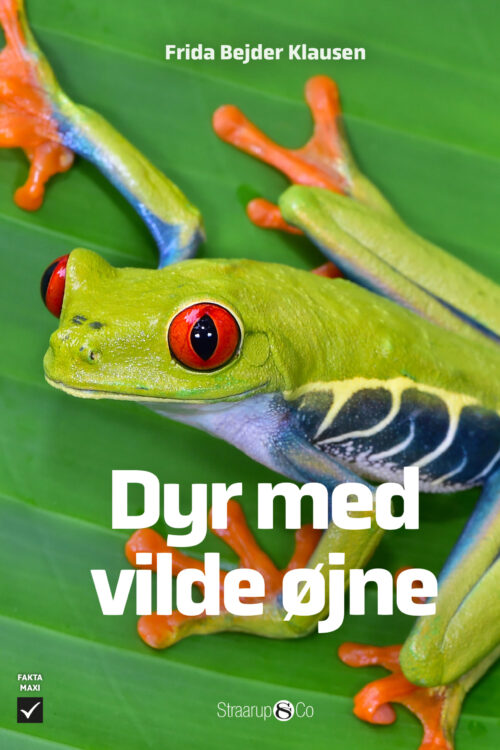 Dyr med vilde øjne