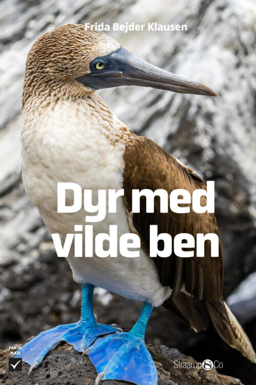 Dyr med vilde ben