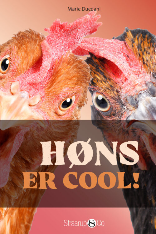 Høns er cool!