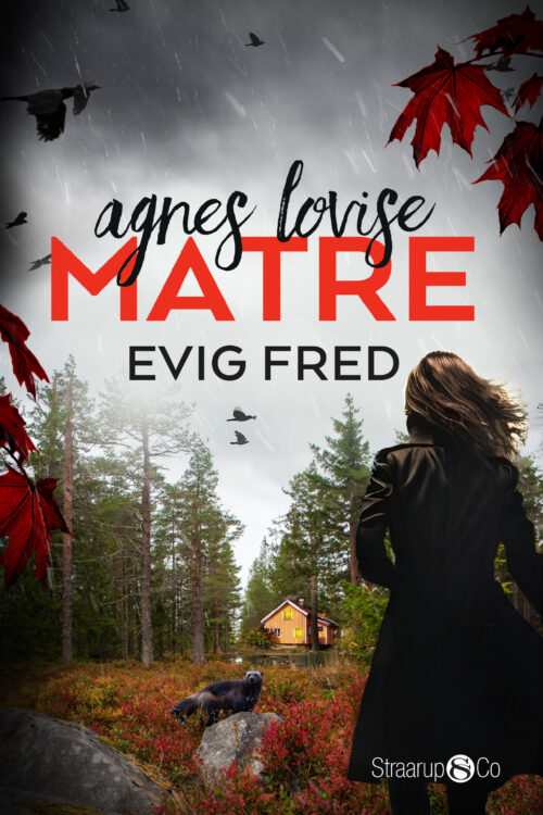 Evig fred