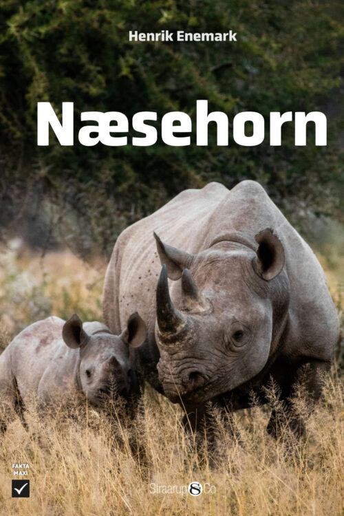 Næsehorn
