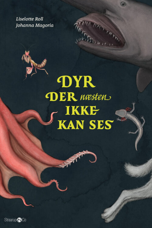 Dyr der næsten ikke kan ses