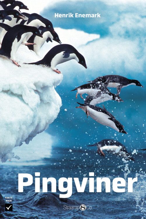 Pingviner