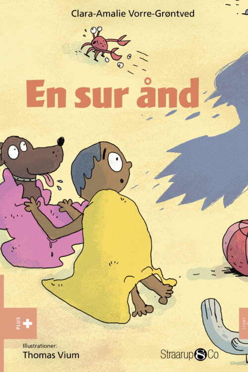 En sur ånd