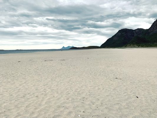 Heidi Mittun-Kjos 2021